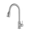 Stainless Steel Pull-Down Kitchen Faucet