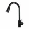 Matte Black Pull-Down Kitchen Faucet